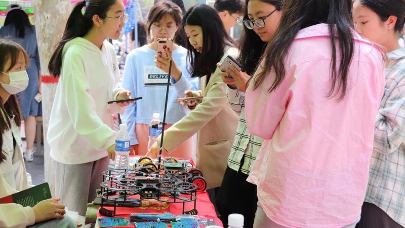 数据可视化图表类型解析：如何选择合适的图表展示数据之美